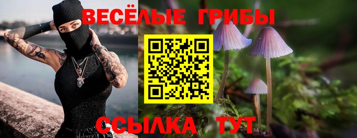 Хабаровск  Галлюциногенные грибы GOLDEN TEACHER  Вход с VPN 